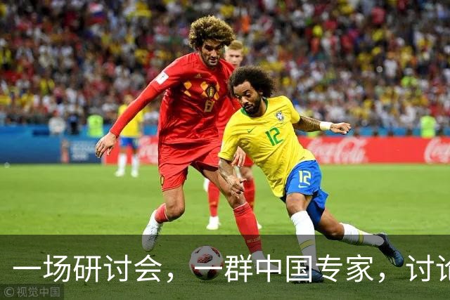 一场研讨会，一群中国专家，讨论的全是中国自己的事，可主办方偏偏定了条死规矩 —— 全程必须说英语
